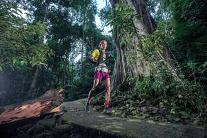 BIB: 
                            <button type="button" onclick="openModal(24809300)" class="btn btn-primary btn-sm float-right btn-popup" data-toggle="modal" data-target=".modal-high-quality">
                        <i class="fas fa-shopping-cart"></i> Add to Cart
                    </button>
                                            <button type="button" onclick="isThisMe(24809300, true)" class="btn btn-success btn-sm float-right btn-popup btn-isme hidden" data-toggle="tooltip" data-placement="bottom" title="นี่คือรูปของคุณใช่ไหม คลิกที่นี่เพื่อเอาเข้าอัลบั้ม">
                        <i class="fas fa-plus"></i> Add to album
                    </button>
                    <button type="button" onclick="isThisMe(24809300, false)" class="btn btn-warning btn-sm float-right btn-popup btn-isnotme hidden">
                        <i class="fas fa-ban"></i> Remove from album
                    </button>